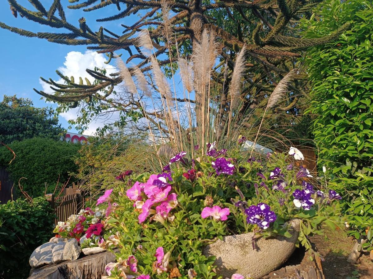 B&B Il Tulipano Como Exterior foto